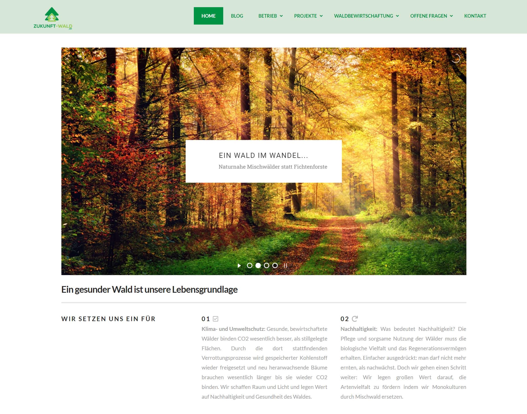 Screenshot der Zukunft Wald Webseite